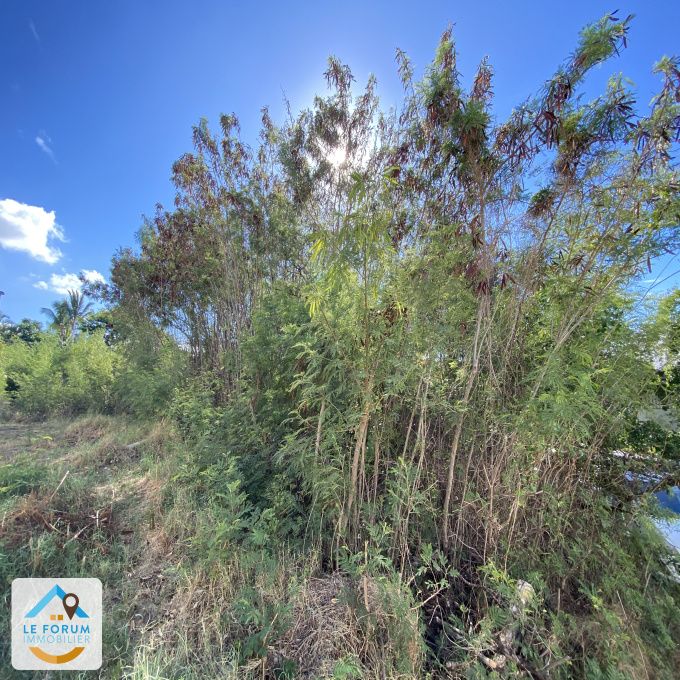 Offres de vente Terrain Saint-Pierre (97410)