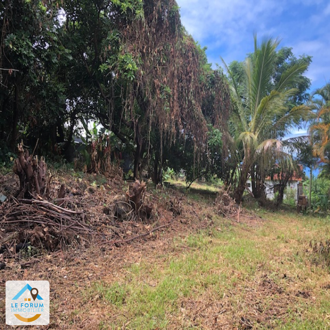 Offres de vente Terrain Saint-Joseph (97480)