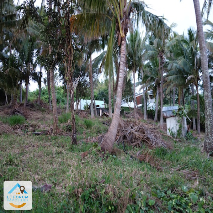 Offres de vente Terrain Petite-Île (97429)
