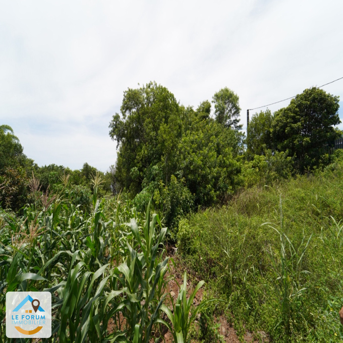 Offres de vente Terrain Saint-Joseph (97480)