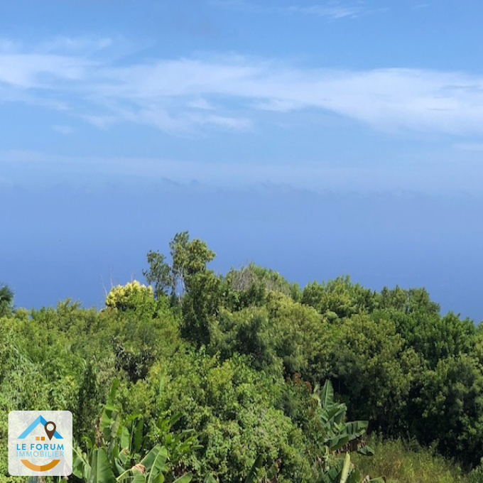 Offres de vente Maison / Villa Petite-Île (97429)