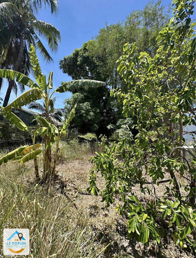 Offres de vente Terrain Saint-Pierre (97410)