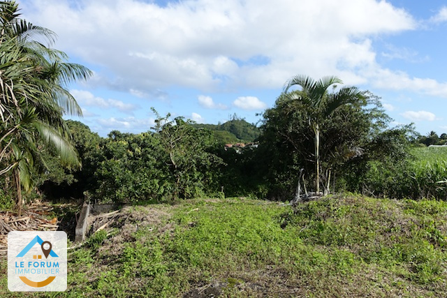 Offres de vente Terrain St joseph (97480)