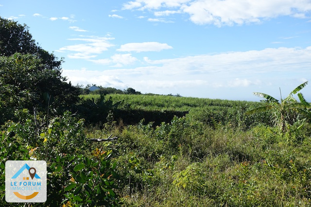Offres de vente Terrain Saint-Joseph (97480)