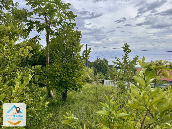 Offres de vente Terrain Saint-Joseph (97480)