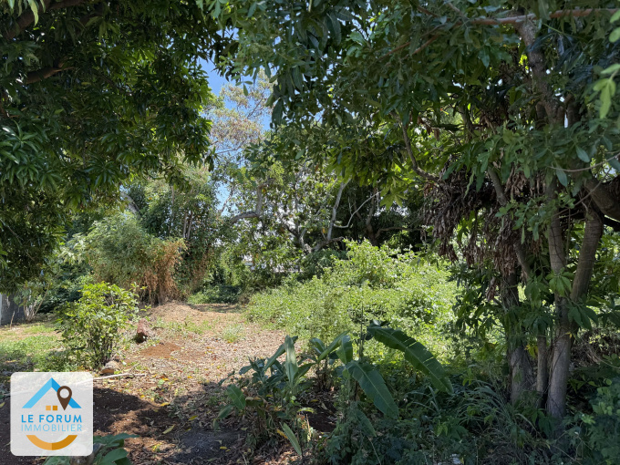 Offres de vente Terrain Saint-Pierre (97410)