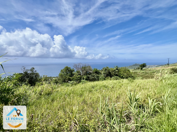 Offres de vente Terrain Saint-Joseph (97480)