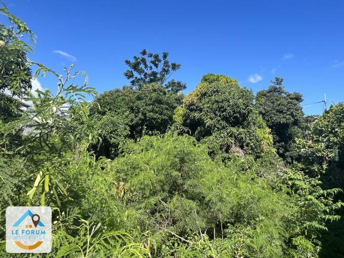 Offres de vente Terrain Saint-Pierre (97410)