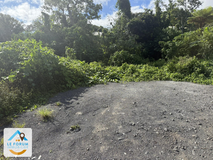 Offres de vente Terrain Tampon (97430)