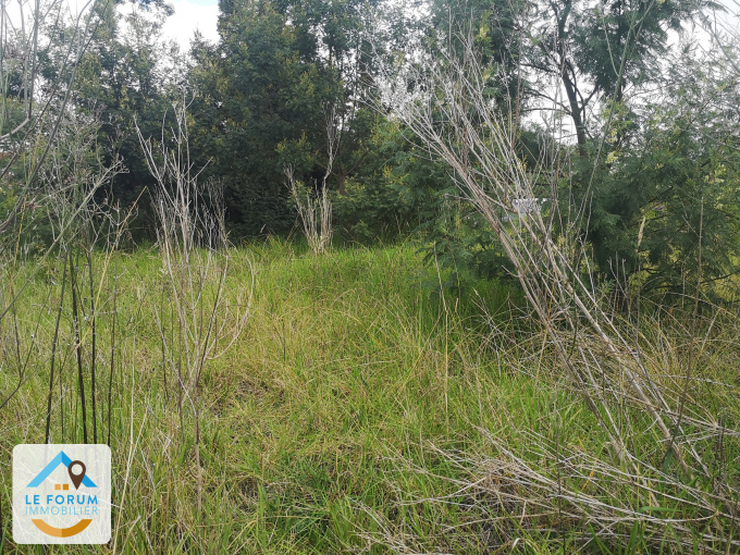 Offres de vente Terrain Tampon (97430)