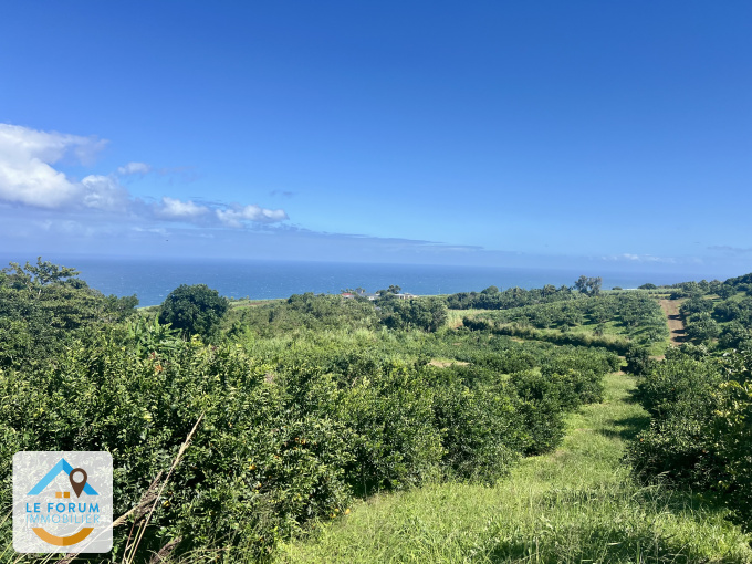 Offres de vente Terrain Petite-Île (97429)