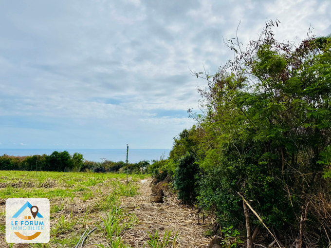 Offres de vente Terrain Saint-Pierre (97410)
