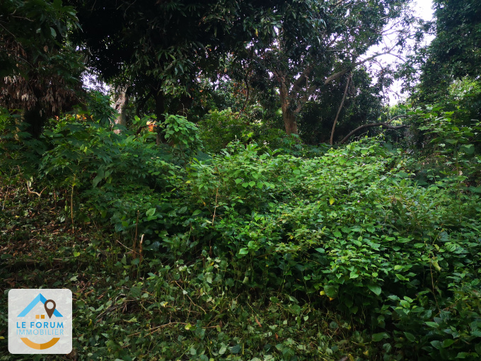 Offres de vente Terrain Saint-Joseph (97480)